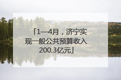 1—4月，济宁实现一般公共预算收入200.3亿元