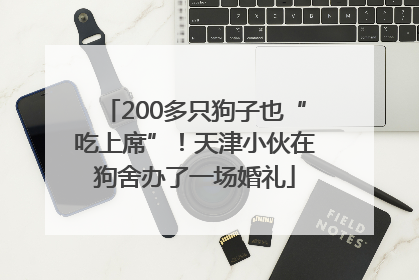 200多只狗子也“吃上席”！天津小伙在狗舍办了一场婚礼