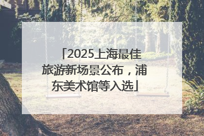 2025上海最佳旅游新场景公布，浦东美术馆等入选