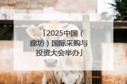 2025中国（廊坊）国际采购与投资大会举办