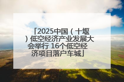 2025中国（十堰）低空经济产业发展大会举行 16个低空经济项目落户车城