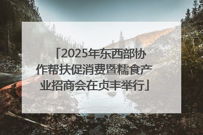 2025年东西部协作帮扶促消费暨糯食产业招商会在贞丰举行