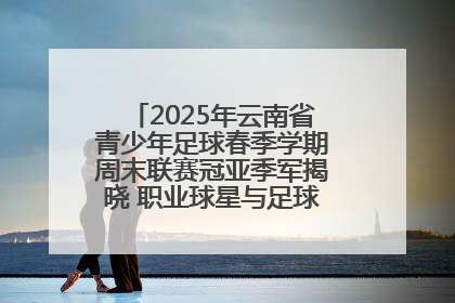 2025年云南省青少年足球春季学期周末联赛冠亚季军揭晓 职业球星与足球小将共享荣耀时刻