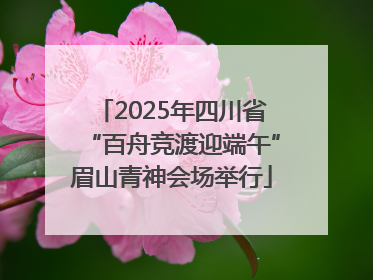 2025年四川省“百舟竞渡迎端午”眉山青神会场举行