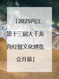 2025内江第十三届大千龙舟经贸文化博览会开幕