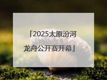 2025太原汾河龙舟公开赛开幕