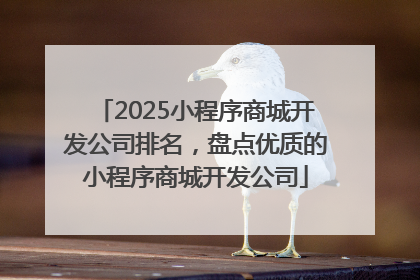 2025小程序商城开发公司排名，盘点优质的小程序商城开发公司