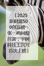 2025新财富500创富榜：张一鸣问鼎首富，宇树科技王兴兴首次上榜