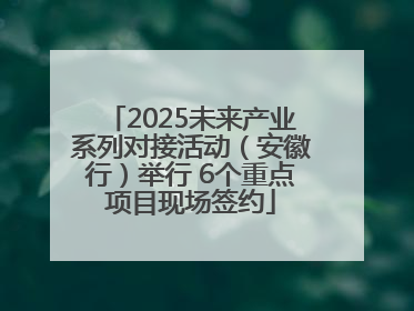 2025未来产业系列对接活动（安徽行）举行 6个重点项目现场签约