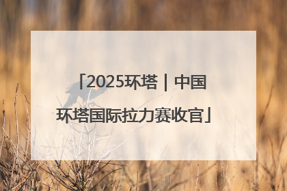 2025环塔｜中国环塔国际拉力赛收官