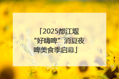 2025都江堰“好嗨啤”消夏夜啤美食季启幕