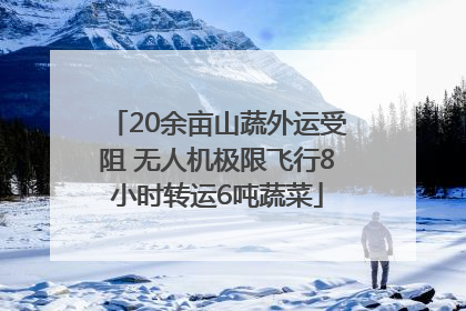 20余亩山蔬外运受阻 无人机极限飞行8小时转运6吨蔬菜