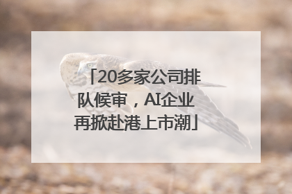 20多家公司排队候审，AI企业再掀赴港上市潮