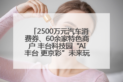 2500万元汽车消费券、60余家特色商户 丰台科技园“AI丰台 更京彩”未来玩家市集活动正式开幕