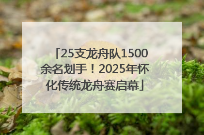 25支龙舟队1500余名划手！2025年怀化传统龙舟赛启幕