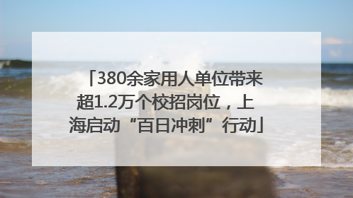 380余家用人单位带来超1.2万个校招岗位，上海启动“百日冲刺”行动