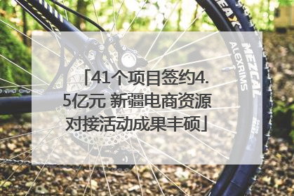 41个项目签约4.5亿元 新疆电商资源对接活动成果丰硕