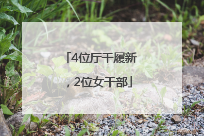 4位厅干履新，2位女干部
