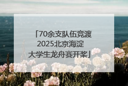 70余支队伍竞渡 2025北京海淀大学生龙舟赛开桨