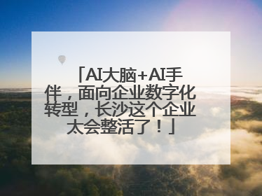 AI大脑+AI手伴，面向企业数字化转型，长沙这个企业太会整活了！