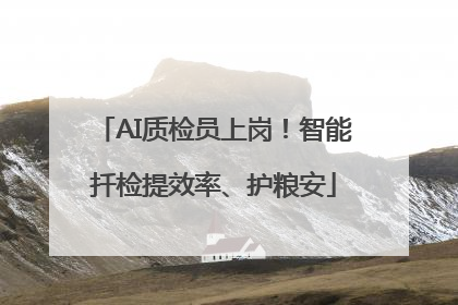 AI质检员上岗！智能扦检提效率、护粮安