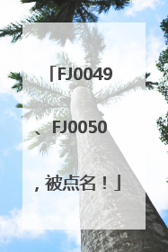 FJ0049、FJ0050，被点名！