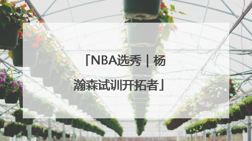NBA选秀｜杨瀚森试训开拓者