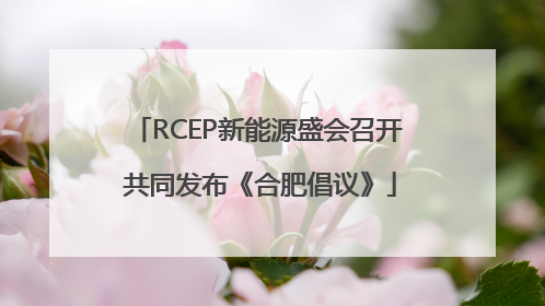 RCEP新能源盛会召开 共同发布《合肥倡议》